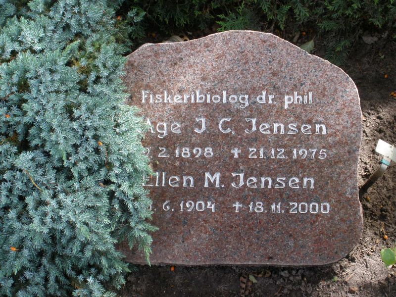 Aage J. C. Jensen.JPG